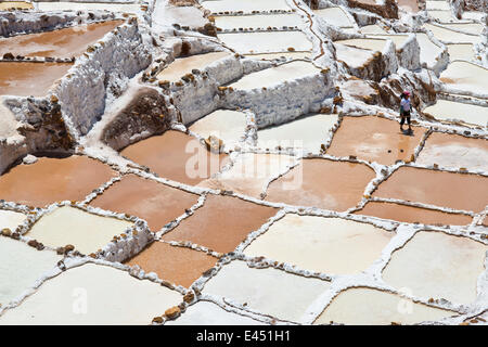 Salinas de Mara, sale terrazze sul versante di una montagna, costruito dagli Incas e ancora oggi in funzione Pichingote, regione di Cusco Foto Stock