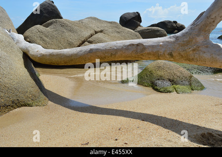 Sulla spiaggia di Ko Samui Thailandia Foto Stock