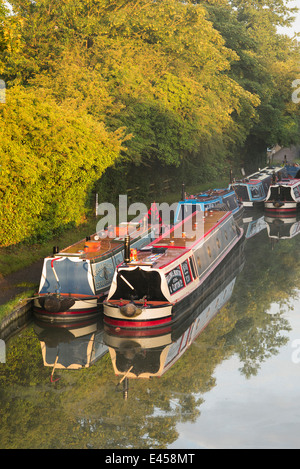 Narrowboats a Braunston storico Canal Rally sul Grand Union Canal a sunrise. Braunston, Northamptonshire, Inghilterra Foto Stock