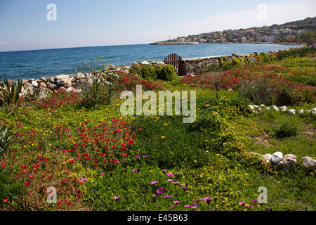 Penisola Karaburun, occidentale della Turchia sulla costa del Mar Egeo. La città di Karaburun è in background Foto Stock