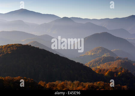 Foresta di colline coperte, Piatra Craiului National Park, Transilvania meridionale, le montagne dei Carpazi, Romania, Ottobre 2008 Foto Stock