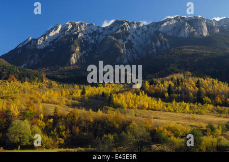 Piatra Craiului massiccio, Piatra Craiului National Park, Transilvania meridionale, le montagne dei Carpazi, Romania, Ottobre 2008 Foto Stock