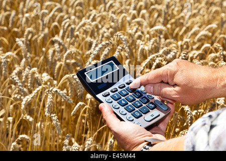 Un agricoltore con una calcolatrice sul campo di coltivazione. Sovvenzioni nel settore dell'agricoltura Foto Stock