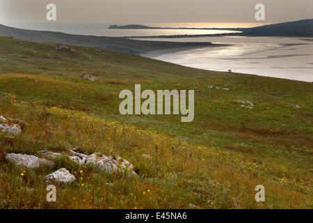 Bagerova steppa, penisola di Kerch, Crimea, Ucraina, Luglio 2009 Foto Stock