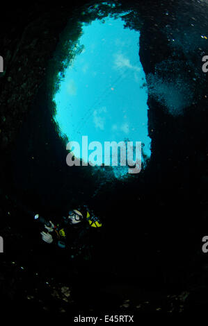 Sommozzatore esplorando la superficie di un laghetto di acqua dolce calcare dolina / Cenote chiamato 'Sistema Xunaan Ha' Tulum, Quintana Roo, Messico, Settembre 2008 Foto Stock