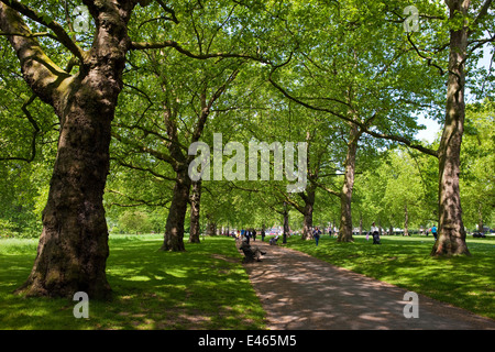 LONDON, Regno Unito - 16 Maggio 2014: Il bellissimo parco verde a Londra. Foto Stock