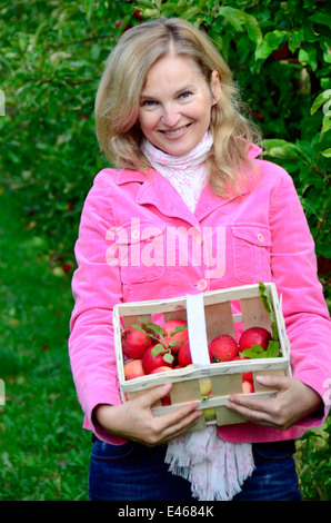 La donna presenta orgoglio anche mele raccolte Germania Brandeburgo Werder/Havel Foto Stock
