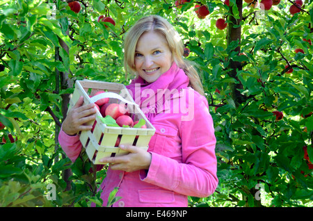 La donna presenta anche mele raccolte Germania Brandeburgo Werder/H. Foto Stock