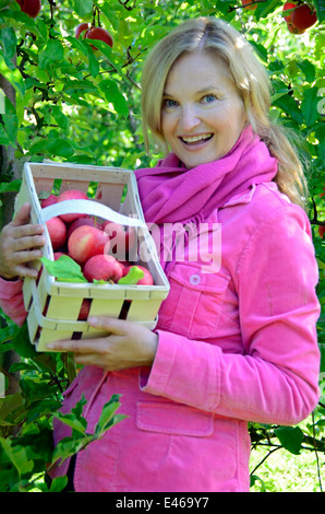 La donna presenta le mele su una fattoria Germania Brandeburgo Werder/Havel Foto Stock