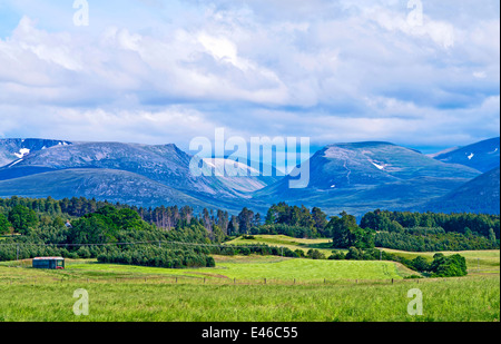 Il Lairig Ghru mountain pass si vede attraverso i terreni agricoli e delle foreste sull'Rothiemurchus estate, vicino a Aviemore, Cairngorms, Scozia Foto Stock