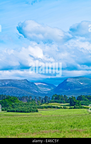 Il Lairig Ghru mountain pass si vede attraverso i terreni agricoli e delle foreste sull'Rothiemurchus estate, vicino a Aviemore, Cairngorms, Scozia Foto Stock