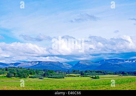 Il Lairig Ghru mountain pass e Cairngorm plateau si vede attraverso il Rothiemurchus estate, vicino a Aviemore, Cairngorms, Scozia Foto Stock