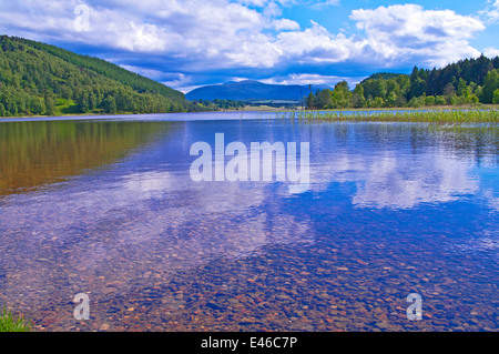 Riflessioni sul Loch Pityoulish, calma giornata estiva, vicino a Aviemore, Cairngorms National Park, Highlands scozzesi, Scotland Regno Unito Foto Stock