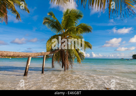 Marea sulla spiaggia tropicale Foto Stock