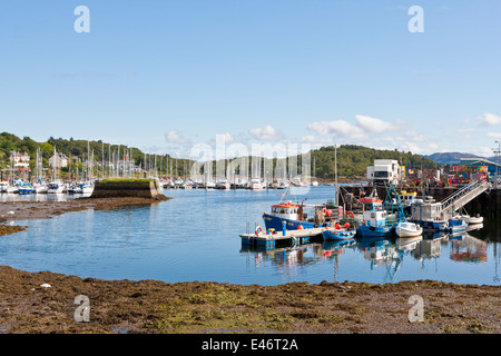 Tarbert Harbour su Loch Fyne in Argyll and Bute;Scozia Foto Stock