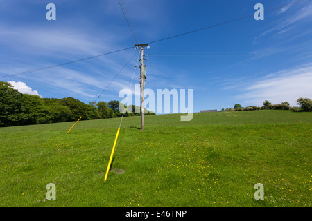 Palo del telegrafo in un campo Foto Stock