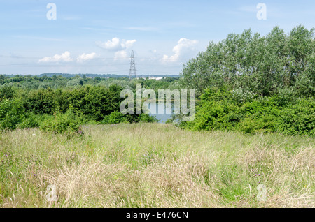 Sheepwash natura locale riserva a Dudley, West Midlands Foto Stock