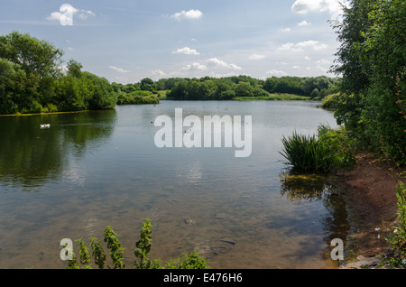 Sheepwash natura locale riserva a Dudley, West Midlands Foto Stock