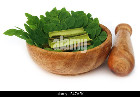 Moringa le foglie e le cortecce del mortaio e pestello su sfondo bianco Foto Stock