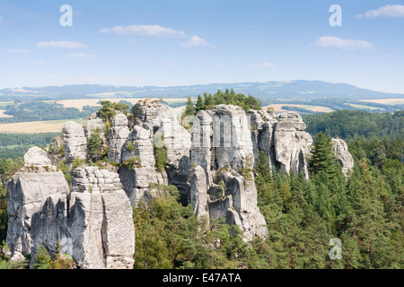 Colonne di arenaria derivanti al di sopra del legno in paradiso boemo della repubblica Ceca Foto Stock