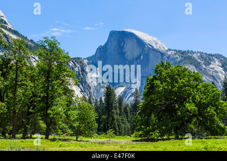 Half Dome, Yosemite Valley, del Parco Nazionale Yosemite, Sierra Nevada, a nord della California, Stati Uniti d'America Foto Stock