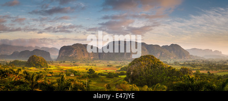 La Valle di Vinales ( Valle de Viñales ), Pinar del Rio, Cuba Foto Stock