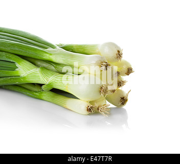 Erba cipollina isolati su sfondo bianco Foto Stock