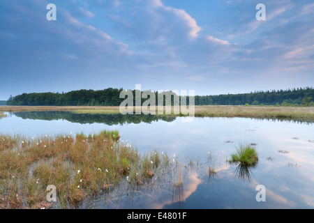 Cielo blu riflessa nel lago selvaggio in mattinata Foto Stock