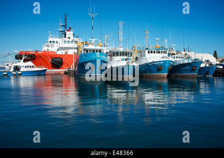 Coloratissime barche di pescatori a Fremantle's Fishing Boat Harbour, Western Australia. Foto Stock