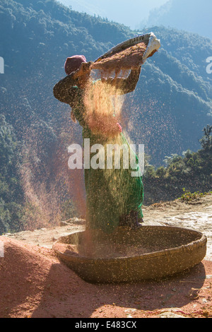 Una donna spulatura della pula, Uttarakhand, India. Foto Stock