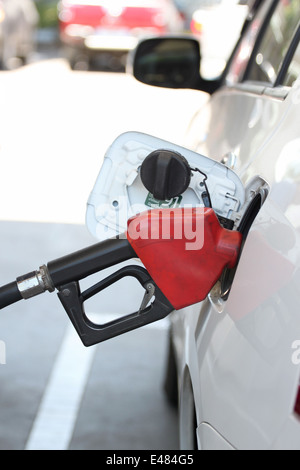 Red ugello carburante nel versamento di auto sulla stazione di gas. Foto Stock