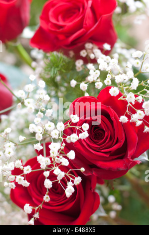 Bouquet rose fiori rosso bianco bud petali gypsophilas luminoso natura alito fresco e naturale dono grande fiore scheda 8 marzo nessuno Foto Stock