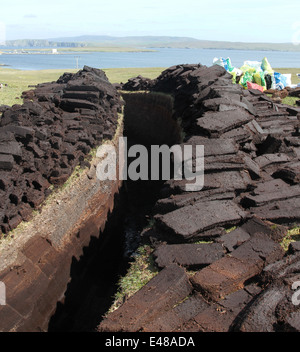 Pile di torba di essiccazione al sole yell Shetland Scozia giugno 2014 Foto Stock