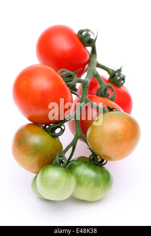 Rosso e i pomodori verdi su sfondo bianco Foto Stock