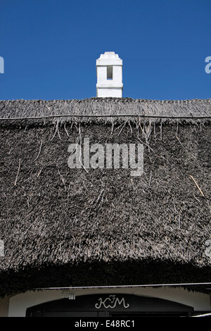 Vecchio cottage con tetto in paglia in Aszofö al Lago Balaton, Ungheria Foto Stock