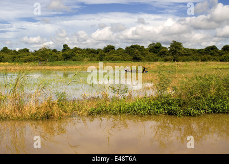 Le barche sul Fiume Sangker. Viaggio da Battambang a Siemp Reap. Una barca di un giorno viaggi di Siem Reap (per Angkor) per Battamb Foto Stock