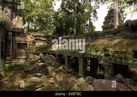 Ta Prohm Tempio. Ta Prohm lo stato di rovina è un membro di bellezza, che è indagato con gioia e a sinistra con rammarico.Ta Pro Foto Stock