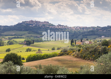 Vigneti vicino a Montepulciano, Toscana. La zona è un importante produttore di alimenti e bevande. Foto Stock