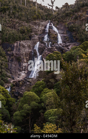 San Columba cade, Cascata San Columba Falls riserva statale, PYENGANA VALE, Valle, ST HELENS, nel nord est della Tasmania, Australia Foto Stock