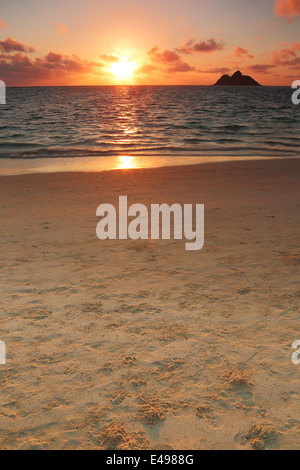 Sunrise lungo il bellissimo Lanikai spiaggia di sabbia bianca dell'isola di Oahu, Hawai'i Foto Stock