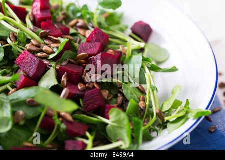 Il crescione e barbabietola con insalata di tostare i semi di girasole. Foto Stock