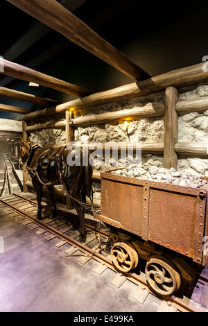 Mulo tirando il carrello, soleggiato lato miniera, Colorado mostrano storie, Storia Colorado Centre (museo), Denver, Colorado, STATI UNITI D'AMERICA Foto Stock