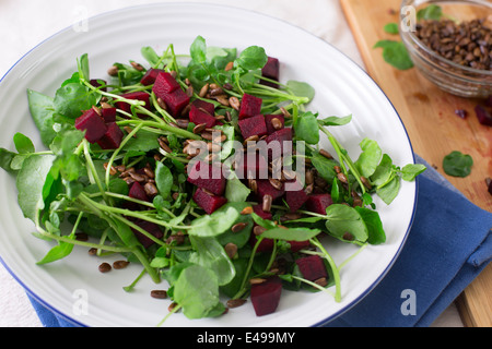 Il crescione e barbabietola con insalata di tostare i semi di girasole. Foto Stock