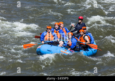 White water rafting sul fiume Arkansas, vicino alla città di Canon, Colorado, STATI UNITI D'AMERICA Foto Stock