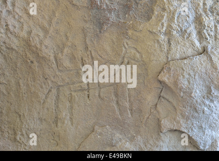 Petroglyph nel sito archeologico vicino a Qobustan, Abseron Peninsula, Azerbaigian Foto Stock