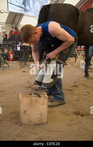 Calgary, Alberta, Canada. 06 Luglio 2014. Cavaliere che tira il cavallo mentre compete nell'ultimo round del Campionato del mondo Blacksmiths' Competition al Calgary Stampede domenica 6 luglio 2014. I primi cinque guerrieri gareggiano per il titolo di campione del mondo in questa tradizione di lunga data allo Stampede. Calgary, Alberta, Canada. Credit: Rosanne Tackaberry/Alamy Live News Foto Stock