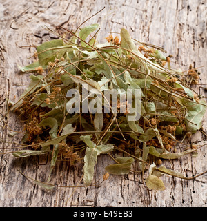 Fiori di tiglio, tè alle erbe ingredienti su legno Foto Stock