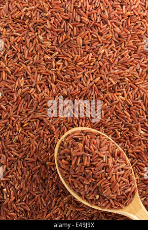 Grana di riso come texture di sfondo Foto Stock