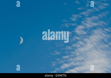 Mezza Luna in un bel cielo azzurro Foto Stock