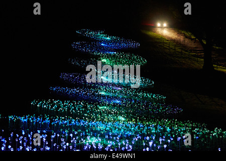 Installazione delle luci, artista Bruce Munro (non raffigurata), a Waddesdon Manor Foto Stock